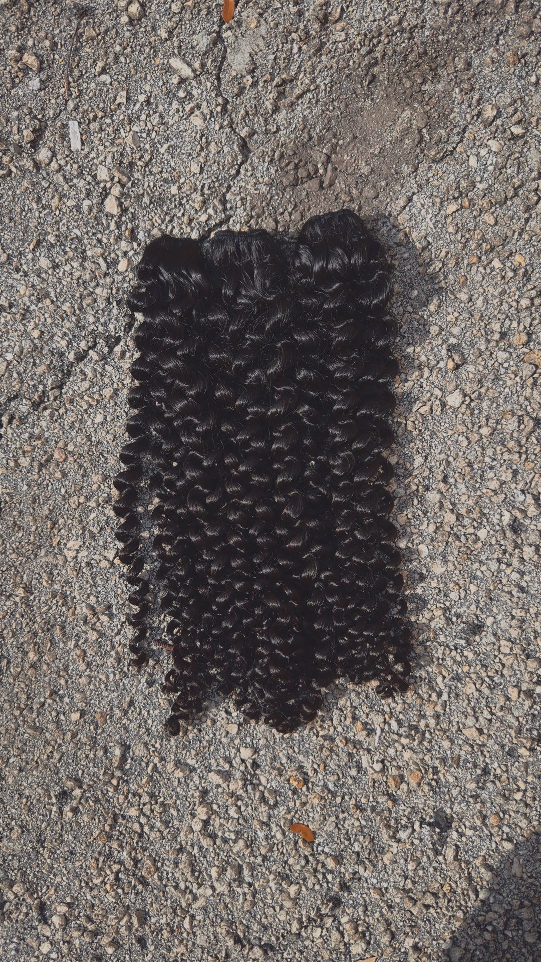 Eurasian Curly Weft