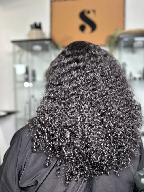 Burmese Curly