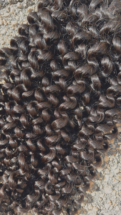 Eurasian Curly Weft