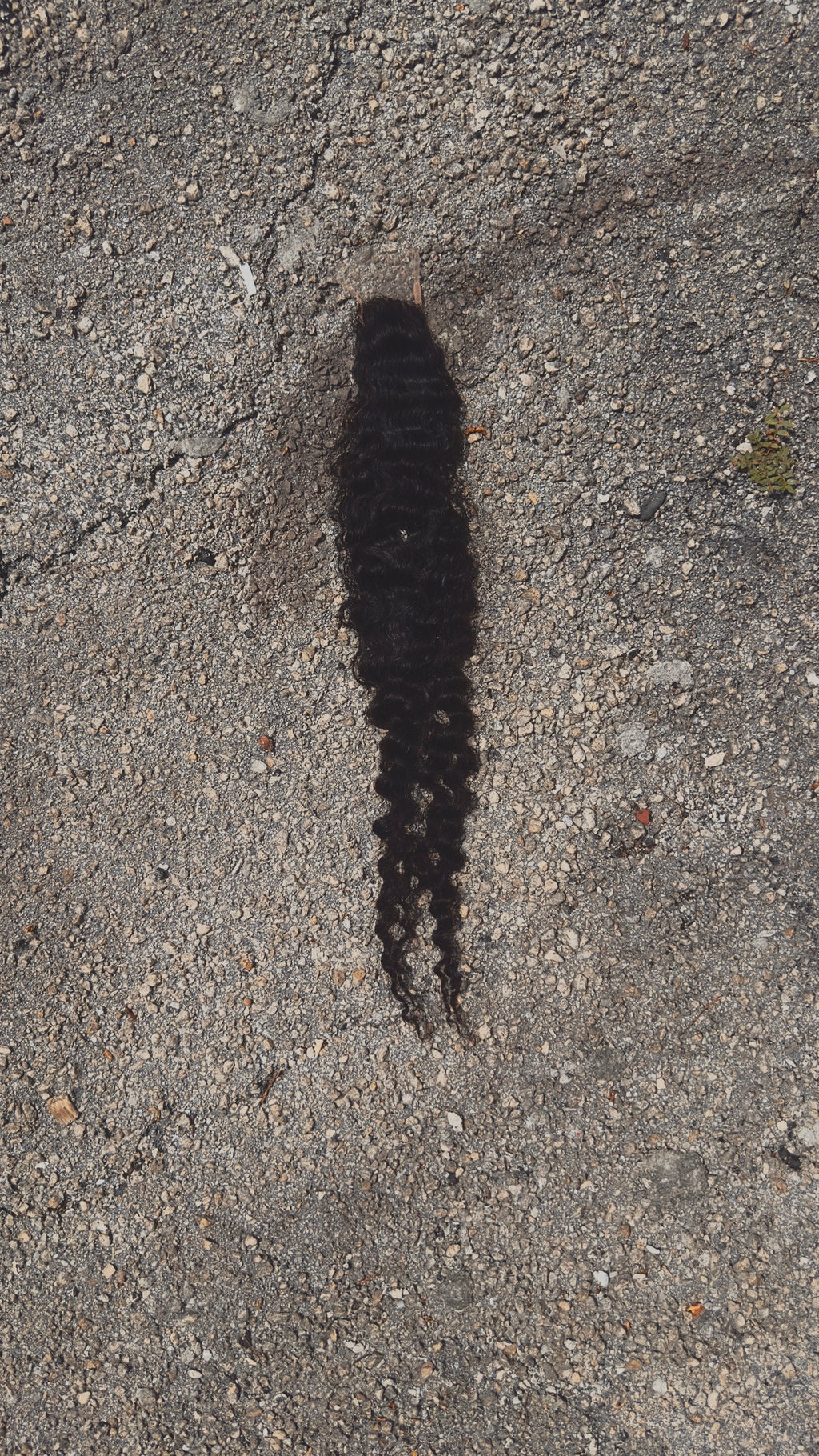 Loose Burmese Curly Film Lace Closure