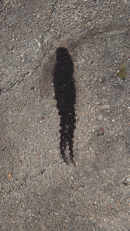 Loose Burmese Curly Film Lace Closure